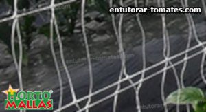 sistema de doble muro con red de soporte