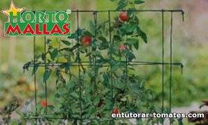 Jaula para plantas de tomate