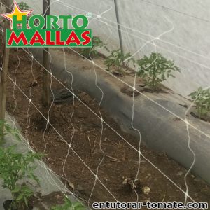 Malla tutora hortomallas instalada en campos