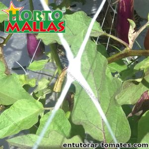 Malla espaldera hortomallas soporte de hortalizas